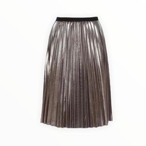 Silver metalic pleated skirt NWT by Willow & Clay size Small